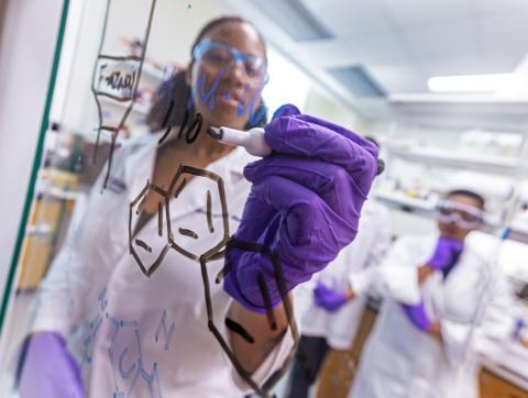 Chemistry students solving equations in the lab